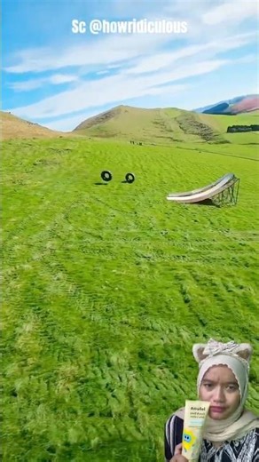 CAR TIRE RACING, WHICH WILL YOU CHOOSE? #shorts #funny #dubbing