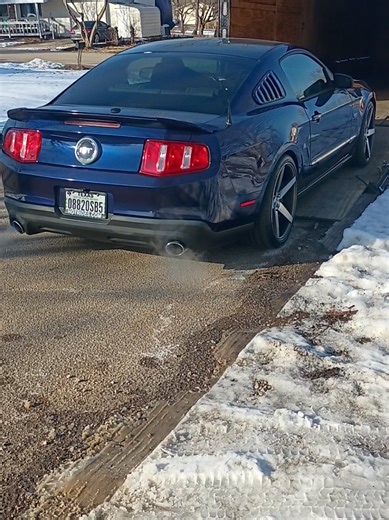 😁# new car was delivered yesterday! #mustang #procharger #foryoupage #fypシ #fyp