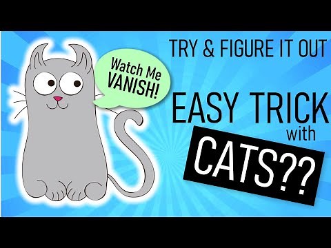 Magic With Cats - Easy Magic Tricks for Beginners to Do at Home to Vanish a Cat (Cartoon)