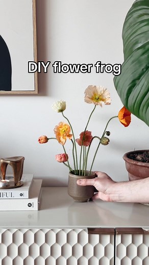 Brad Canning on TikTok