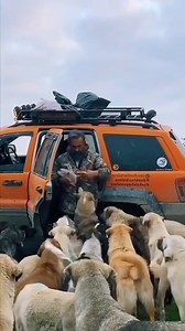 413K views · 5K reactions | This is the most beautiful thing you'll see today ❤ | Awesome World | Facebook