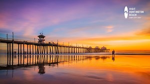 Zoom virtual background beach video download free