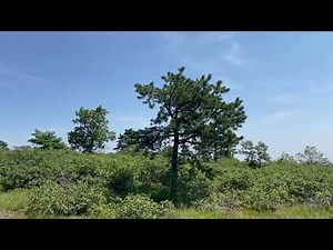 Blue Hills Reservation - Buck Hill HD 1080p