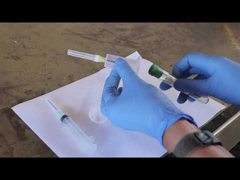 How to Draw Blood from the Tail of Cattle