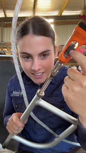 Farmers as Skilled Problem Solvers: A Humorous Take