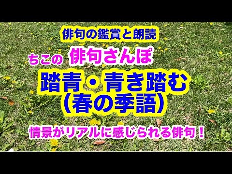 [Haiku Walk No. 170] A haiku that brings to life the scene of stepping on the blue/stepping on th...