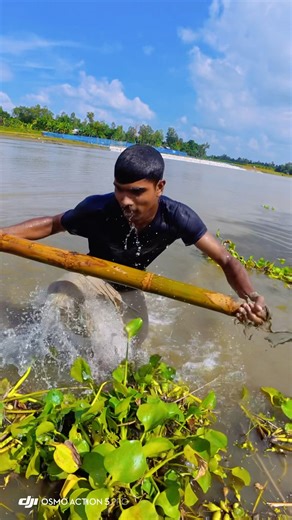 Treditional village boys bambo catfish hunting #fishing