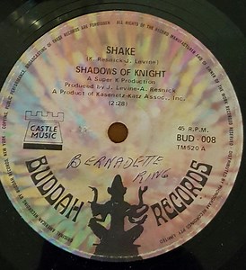 The Shadows Of Knight - Shake