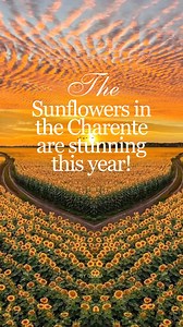 1.7K views · 26 reactions |  This is what you get when you move to rural France! https://lifeinruralfrance.com/expect-move-rural-france/ | Life in Rural France & Beyond | Facebook