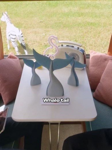 cashman.tom on TikTok