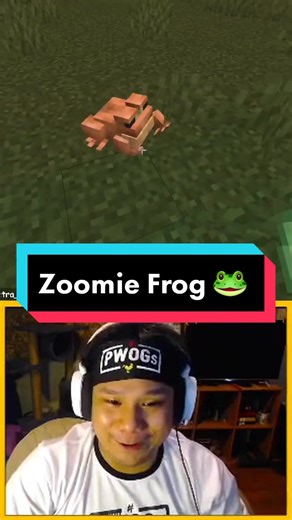 frog go zoom 🐸 | #fyp #minecraft #minecraftph #minecrafttiktok #minecrafttok #mcyt #minecrafthardcore #tiktokggph #geektalkph #xyzbca