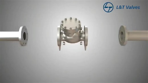 What is a Check Valve and How Does it Work? | Odheyibo Oghenero posted on the topic | LinkedIn