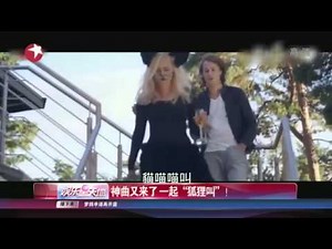 年度神曲再度来袭 大家一起"狐狸叫"