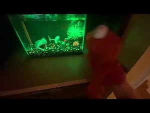 elmo world teeth intro