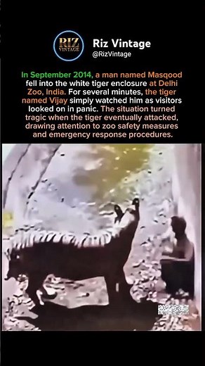 Man Enters White Tiger Enclosure at Delhi Zoo, Ends in Tragedy 😨🦁