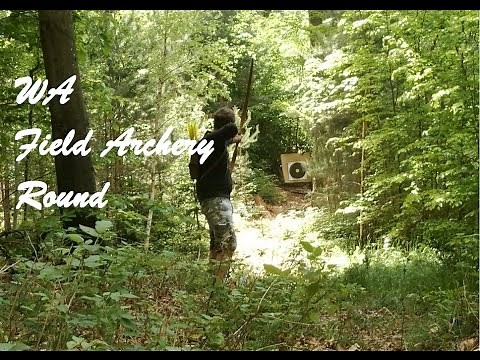 Field Archery Round (World Archery), 45# Longbow