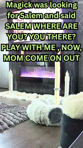 Magick was looking for Salem and said SALEM WHERE ARE YOU & MORE