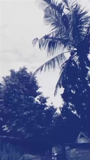 🎀💫 Mi Mu 💫🎀 (@mimu_mim_135)’s videos with original sound - Ｒａａｊ