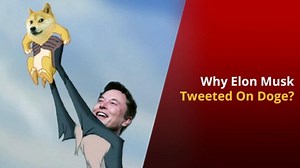 From Memes to Cryptocurrency: All You Need to Know About Dogecoins