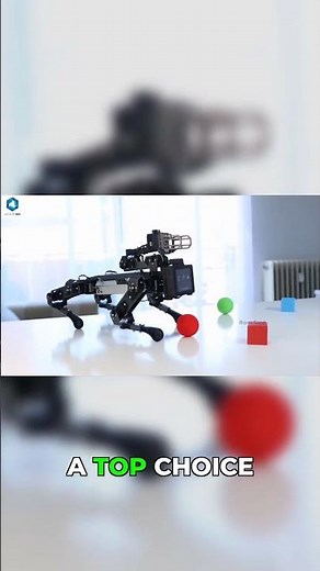 Python vs Every Other Language for Robotics #python #robotics #programming