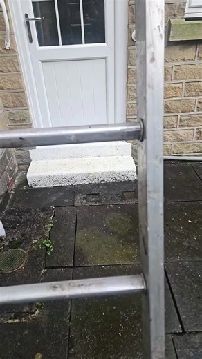 Roof-Related Rat Incidents: What to Know