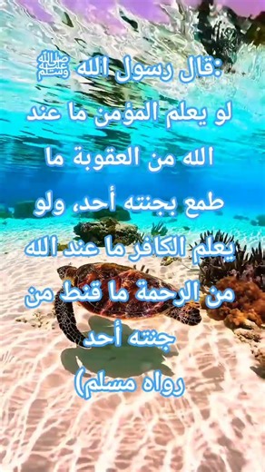 الترهيب و الترغيب. #حديث #اكسبلور #الرحمة #العقوبة #السنة #رسول_الله #الله #الجنة #النار