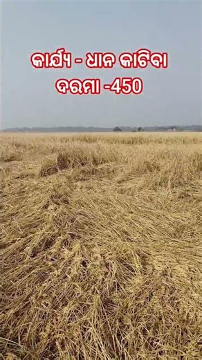 open rally post 479 contact jaldi kara