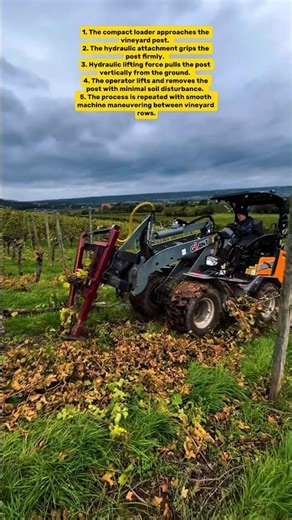 Efficient Vineyard Post Removal Using Compact Loader | Modern Agriculture Technique