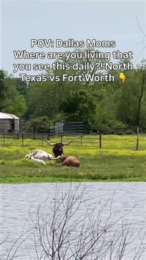 North Texas vs Fort Worth | Where Should You Actually Live?