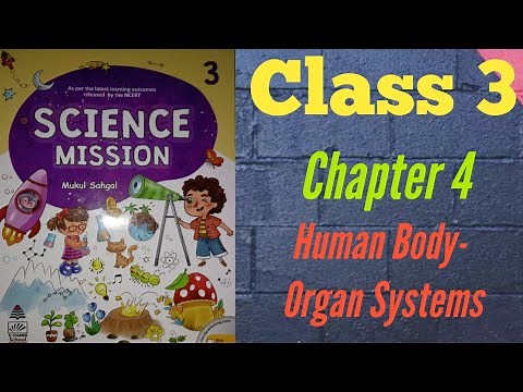 Human Body - Organ Systems | Class 3 | Chapter 4 | Science Mission