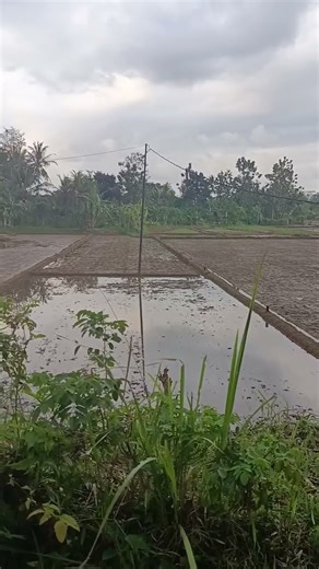 Pertanian Modern dengan mesin pertanian terbaru!