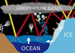 Climate Change Quiz – Fun FREE Interactive General Knowledge Quiz for Kids -