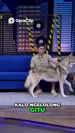 The Dangers of Keeping Wild Animals as Pets! Here's Why #tonightshowpremiere #vindes #fyp #ngakak