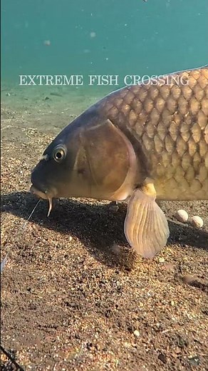 Hooked… But Still Eating!