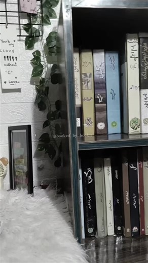 Living the Dream Life: A Girl's Book Journey