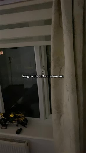 Fluxly on Instagram: "The perfect gift for christmas 🥰😍 #projector #fakewindow #viral #christmasgiftideas #gift"