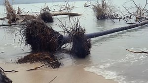 How a Massive Tsunami Erased Entire Landscapes in Alaska