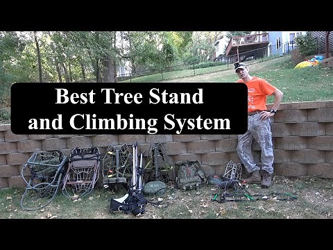 Best Tree Stand and Climbing System
