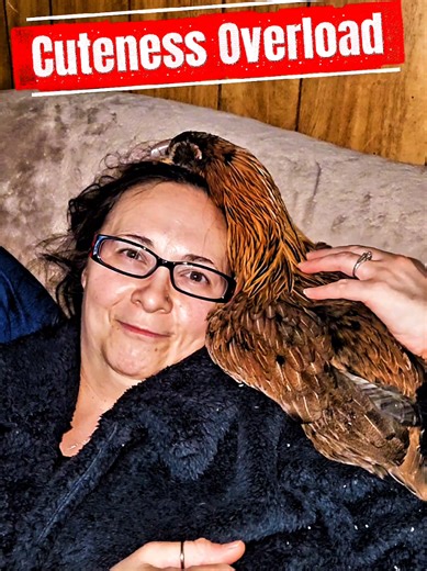 Cuddle Goals with Chickens: A Heartwarming Moment