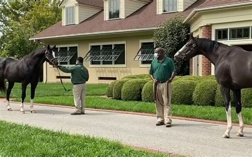 Honor Code 和 Honor A.P 父子初见面