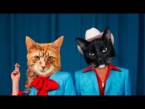 Lady Gaga, Bruno Mars - Die With A Smile (Cover Gatos)