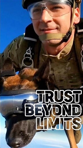 These K9s JUMP WITHOUT HESITATION!! #k9 #usa #skydiving