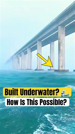 🌉 How Engineers Build Bridge Pillars Underwater 🤯 (No Magic, Just This!) #shorts #minimindset
