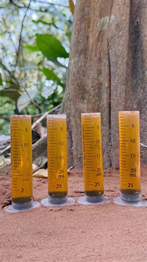 Mini Soap Making for Survival Skills