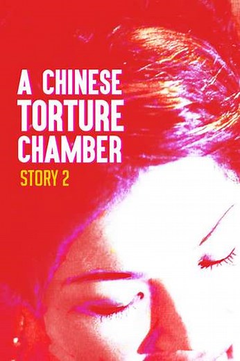 A Chinese Torture Chamber Story II - Movie