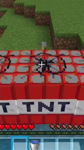 TNT launcher Minecraft#amazing