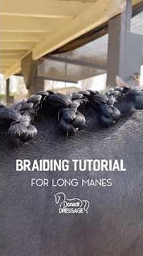 Braiding Tutorial for horses with long manes | Running scallop braid | Tutorial by Ashley Donadt