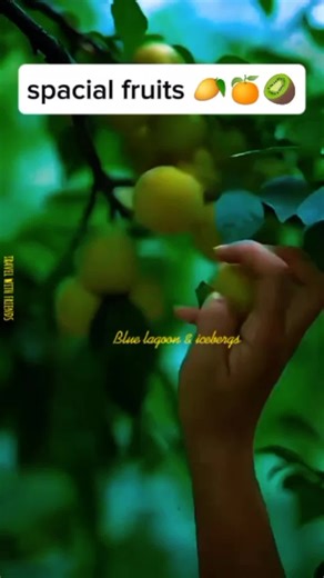 Delicious Sour Fruits from Around the World