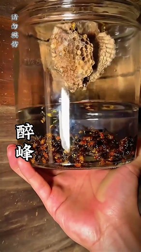 How to catch a bee easily || #trending #shortvideo