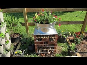 How to Build A Garden Ladybug, Toad & Frog Hotel: Bring in the Good Bugs - All the Details!